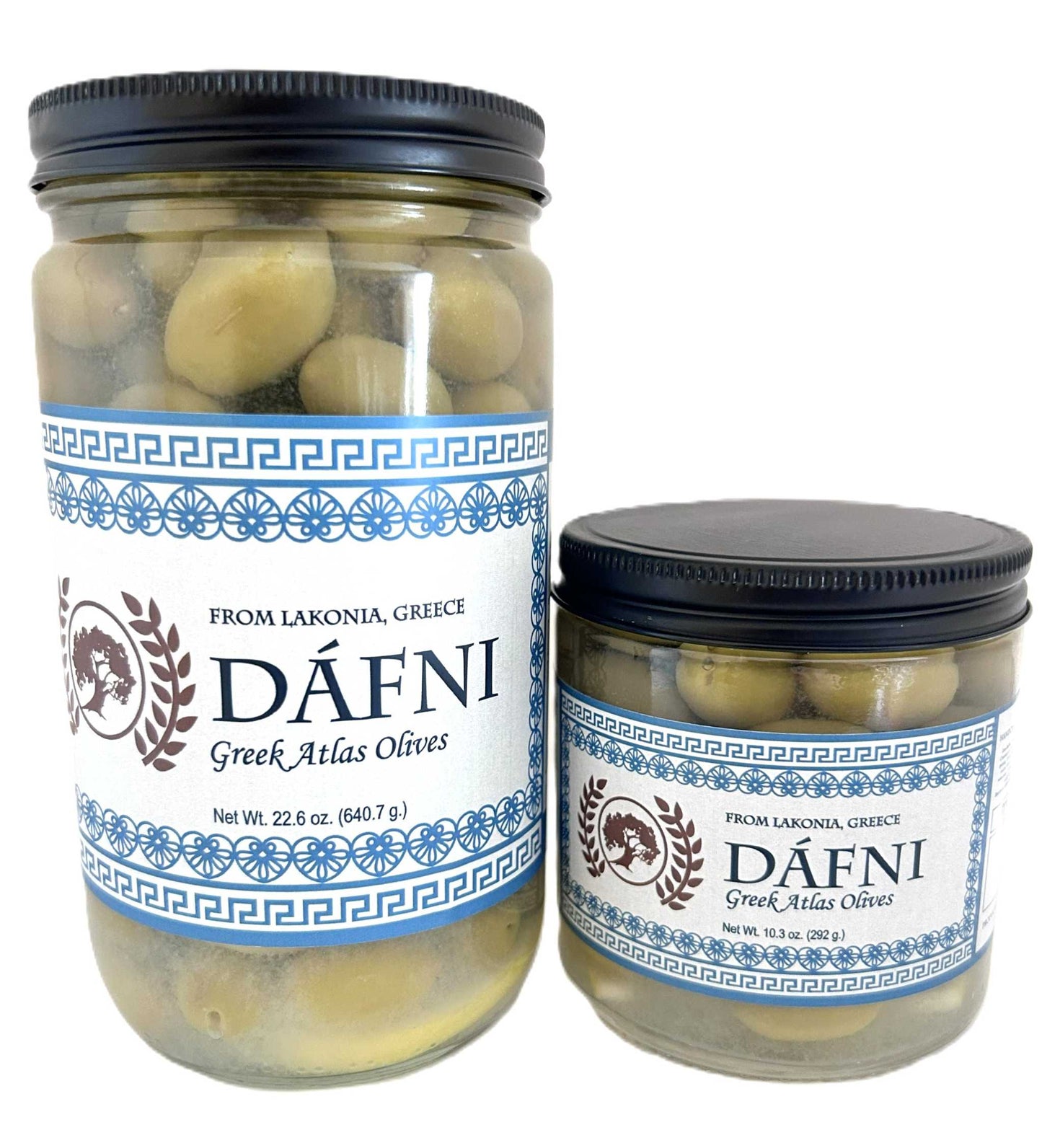 Atlas Olives